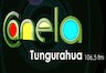 Logo de Canela Radio (Tungurahua) 106.5 FM